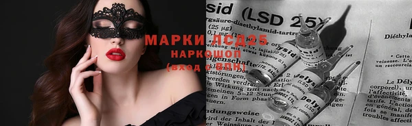 дживик Аркадак