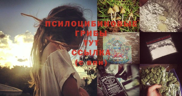 дживик Аркадак