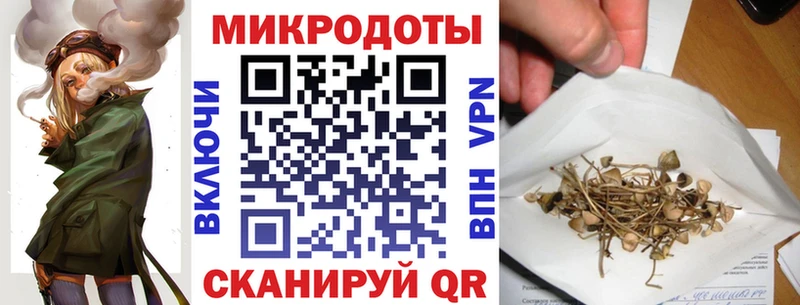 Псилоцибиновые грибы GOLDEN TEACHER  дарк нет как зайти  Лесосибирск 