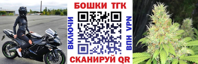 Бошки марихуана индика  мориарти телеграм  Лесосибирск 